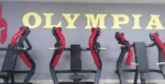Olympia GYM Fiyatları 2024